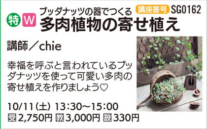 多肉植物の寄せ植え(全1回)