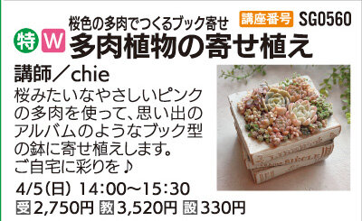 多肉植物の寄せ植え(全1回)