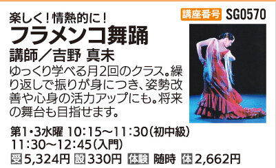 フラメンコ舞踊