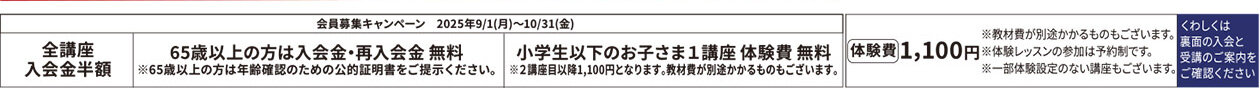 メゾンカルチャークラブ八尾WEBチラシ