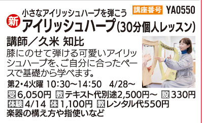 アイリッシュハープ30分個人レッスン