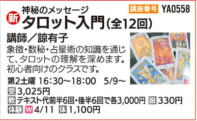 タロット入門