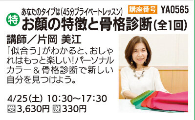 お顔の特徴と骨格診断