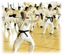 楊名時八段綿太極拳 月.jpg