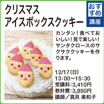 クリスマスアイスボックスクッキー