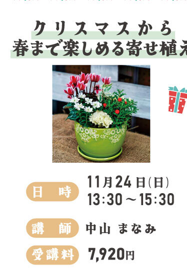 クリスマスから春まで楽しめる寄せ植え