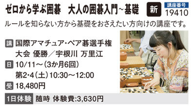 ゼロから学ぶ囲碁 大人の囲碁入門～基礎