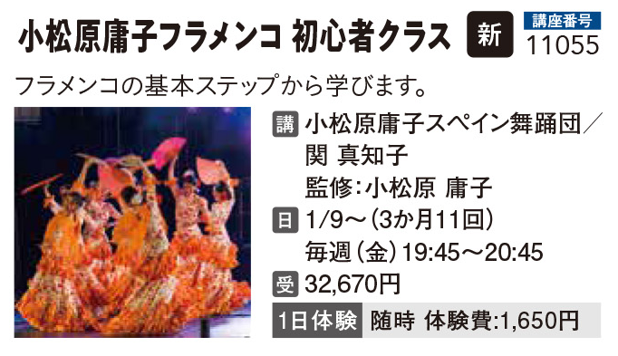 小松原庸子フラメンコ 初心者クラス