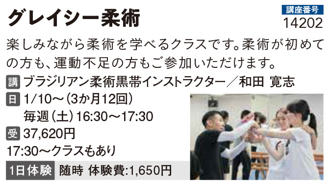 グレイシー柔術