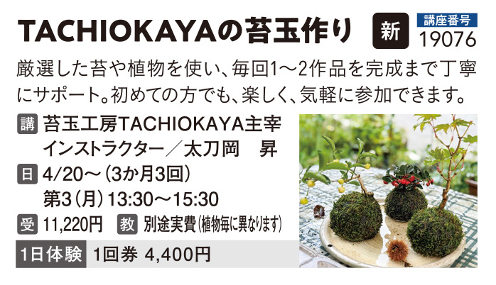 TACHIOKAYAの苔玉作り