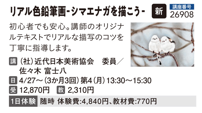 リアル色鉛筆画シマナガエを描こう！