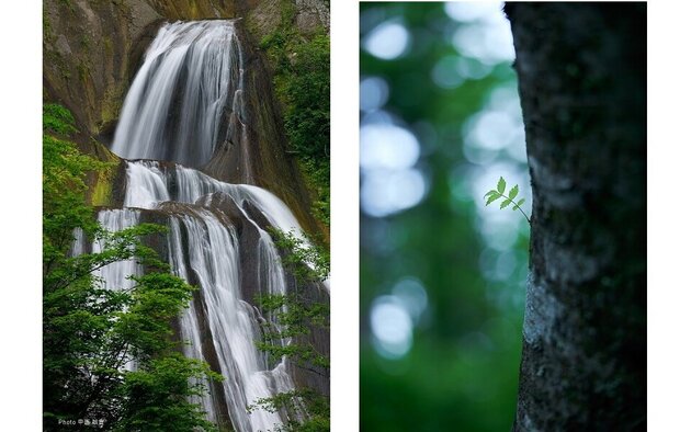 幾星霜（いくせいそう）を訪ねる<br /> まだ見ぬ風景　森・山・丘へ<br />美瑛・富良野 ３日間