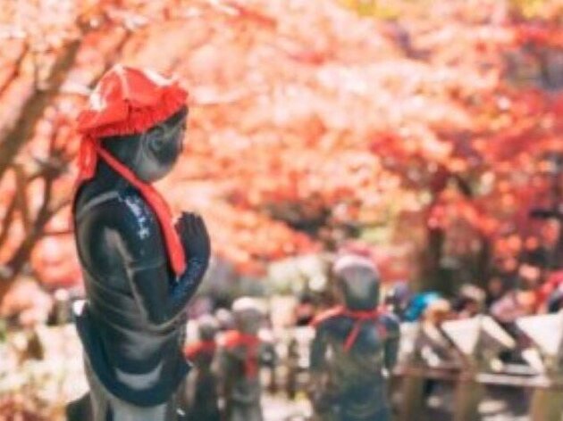 <ぽけかる>  紅葉彩る秋の大山さんぽ&開山1300年飯山観音特別御開帳見学バスツアー
