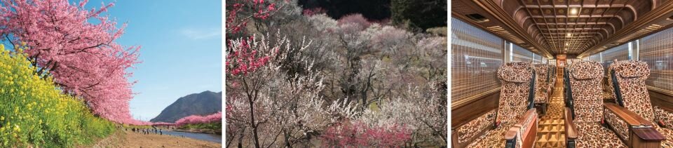 河津桜まとめ_960.jpg