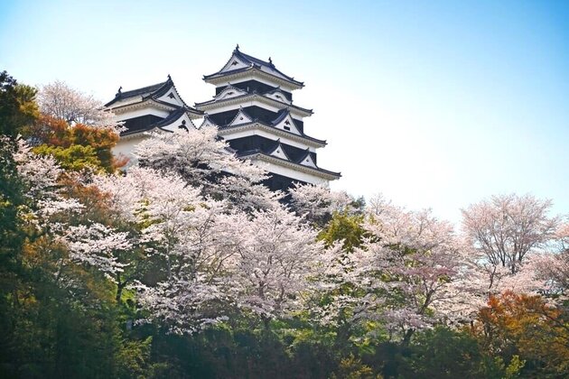 NIPPONIA HOTELに泊まり大洲城で特別体験<br>桜舞う伊予路 2日間