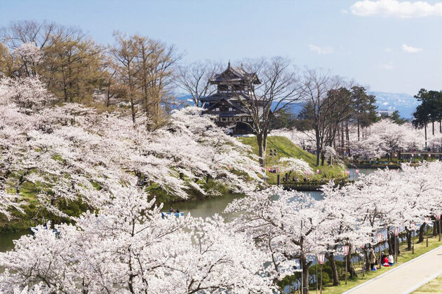 花火と桜が織りなす富山・新潟　2日間