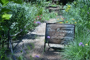 ＪＧＮスペシャルガーデンツアー ～作り手の愛情あふれる美しい庭　山梨・神奈川～ 緑が眩しい初夏のペレニアルガーデン DECO BOTANICAL ＆ Hattori Farm Garden