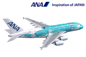 ANA FLYIMG HONU機影