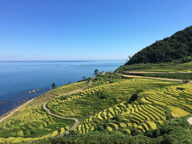 能登周遊10景と まいもんめぐりの旅３日間