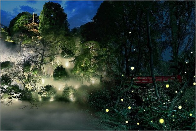 ホテル椿山荘東京　ほたるの夕べディナービュッフェ