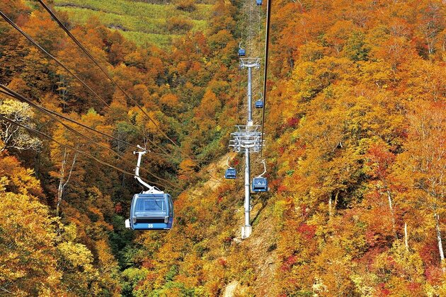 ＜阪急交通社＞  空と湖の絶景遊覧錦秋の奥越後を巡る秋彩の旅 ２日間