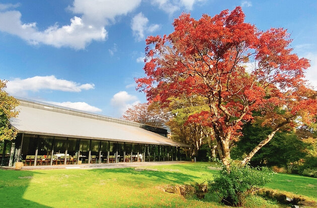 ＜日帰りバスの旅＞ 箱根ラリック美術館でアートランチを楽しむ、錦秋の箱根