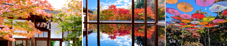 宝徳寺まとめ1_960.png