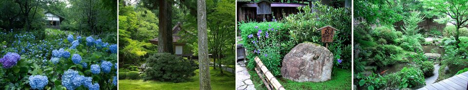三千院＆宝泉院.jpg