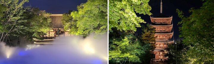 青もみじライトアップまとめ2_画像提供：総本山仁和寺.jpg