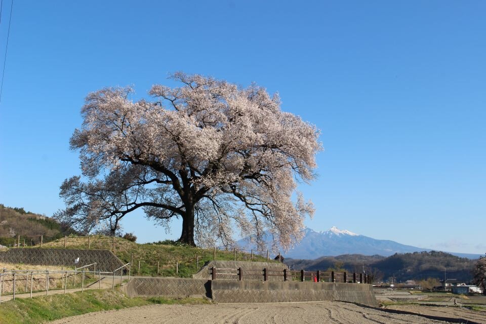 スケジュール1画像