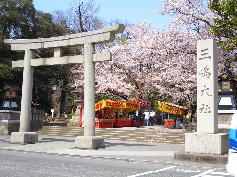 スケジュール3画像