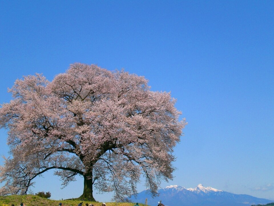スケジュール1画像