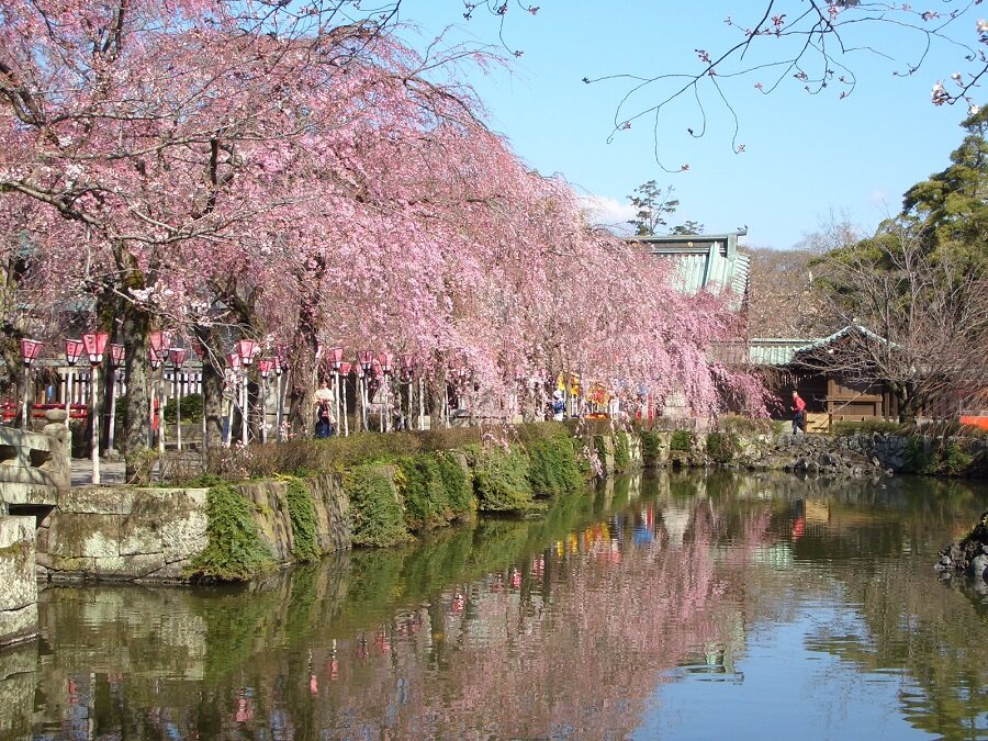 スケジュール1画像