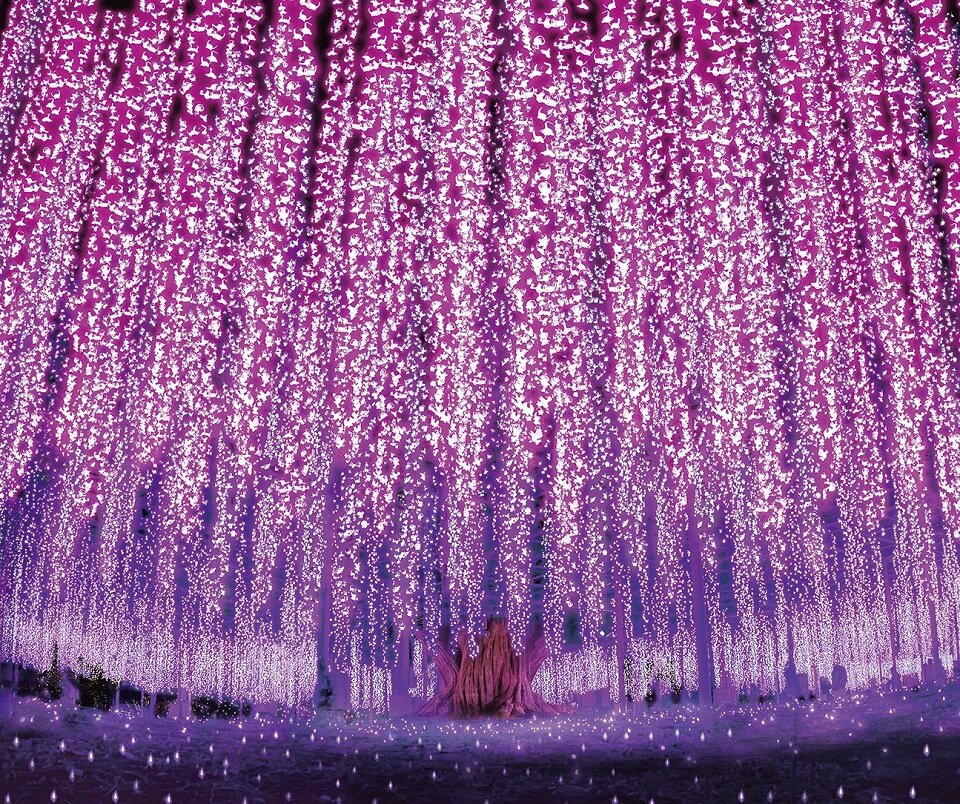 スケジュール3画像