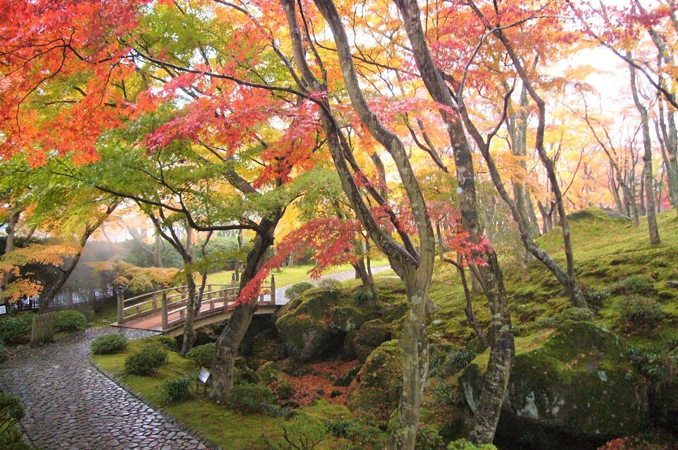 箱根美術館　紅葉の苔庭.jpg