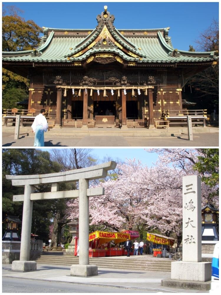 スケジュール3画像