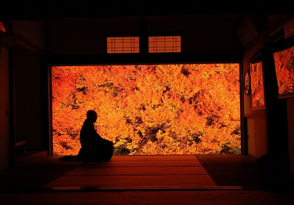 S960_安国寺_3628_どうだんつつじ.jpg